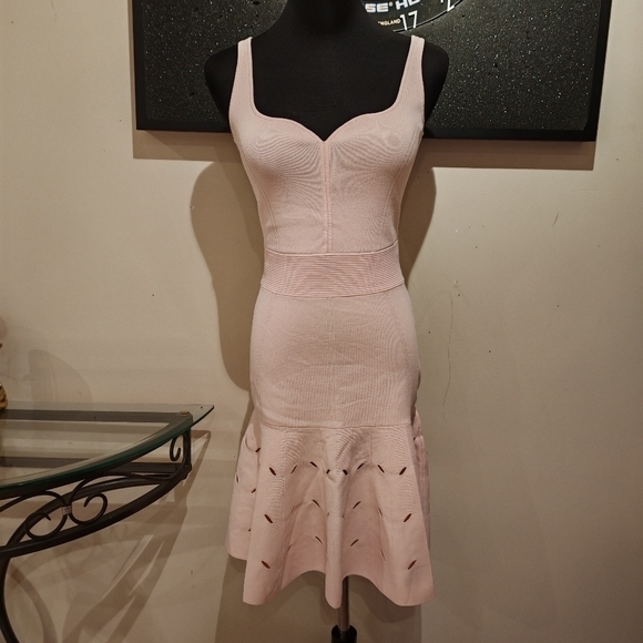 Ted Baker Women's Full Needle Stitch Detailed Hem Mini Dress in Pink, Ambyr-0230 - Picture 13 of 14